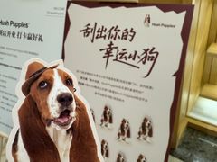 -天津万象城