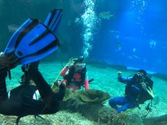 -福州罗源湾海洋世界旅游区