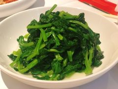 五粮液嫩豆苗-玫瑰厅上海菜(兴国路店)