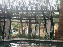 -张家港金凤凰度假村温泉