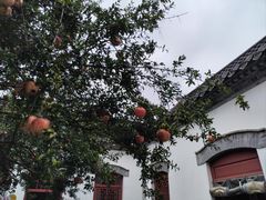 -老舍旧居