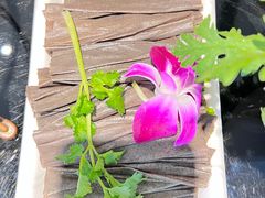 -葛记红焖羊肉(和平路形象店)