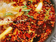 -费明中罗非鱼(大石坝店)
