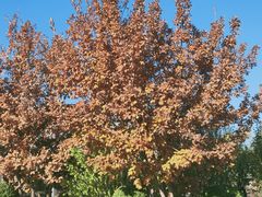 -春晖园度假酒店温泉