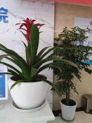 -成都军建医院·疤痕诊疗中心