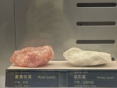 -中国地质博物馆