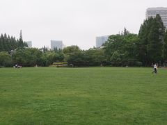 -复旦大学光华楼