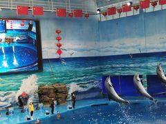 -多彩贵州城极地海洋世界