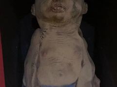 -不倒翁实景剧情密室逃脱(光明凤凰城站店)