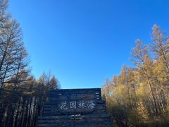 -莫尔道嘎国家森林公园