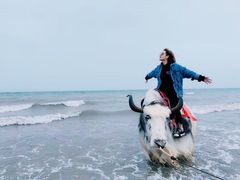 -青海湖国家重点风景名胜区