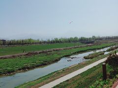 -洨河生态公园