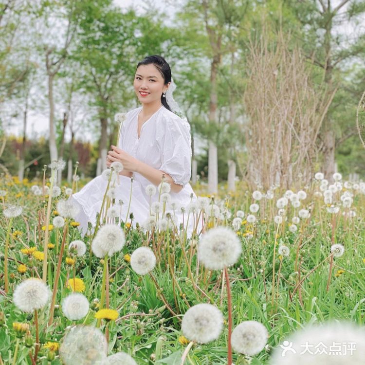小众的秘密花园—会飞的蒲公英花海