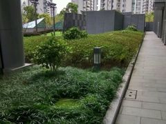 -陆家嘴世纪金融广场