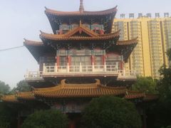 -洛阳市牡丹公园