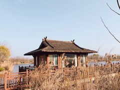 -杭州湾海上花田景区