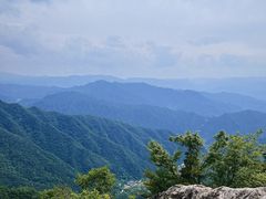 -王顺山国家森林公园