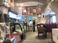 -猫咪博物馆(顶澳仔猫街店)