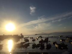 -玫瑰海岸文化旅游度假区