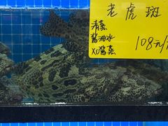 -醉壹号海鲜大排档·老厦门特色菜(厦门美食地标店)