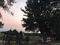 -武汉紫薇都市田园