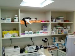 -安安宠医·安宠宠物医院