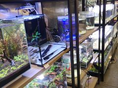 -宠物世家(仲盛世界商城店)