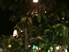 -月满港海鲜酒家