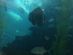 -鸿通城购物中心