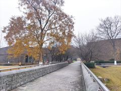 -国际非物质文化遗产博览园