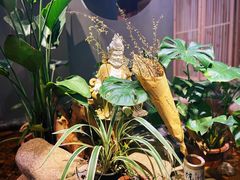 -邈墨茶馆(凤起路店)