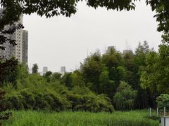 -苏州河梦清园环保主题公园