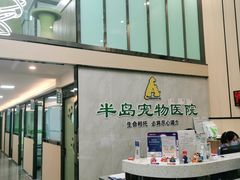 -半岛宠物医院24小时(科华中路店)