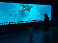 -北戴河圣蓝海洋公园