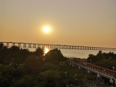 -宝安西湾红树林湿地公园