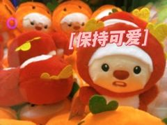 -娃娃集合营(上海奉贤龙湖天街店)