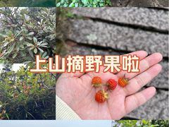 -大罗山风景区