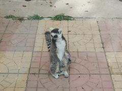 -石家庄市动物园