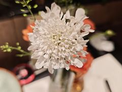 -半秋山西餐厅(巴南万达广场店)