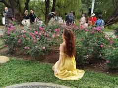 -人民公园(罗湖区)