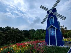 -铁山坪森林公园