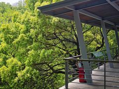 -西湖风景区-江洋畈生态公园