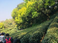 -西湖风景区十里琅珰-五云山