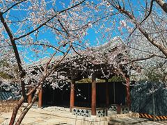 -三里河公园