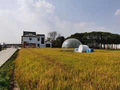 -MUSEO COFFEE咖啡博物馆