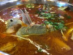 -老凯俚酸汤鱼(鸿通城店)