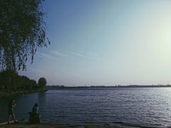-丁香湖公园