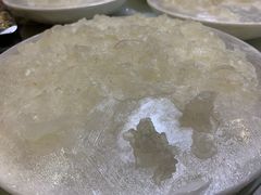 海鲈鱼生-仑头海鲜城(仑头环村南路店)