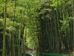 -四门塔风景区