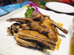 -大鸽饭(马王堆店)